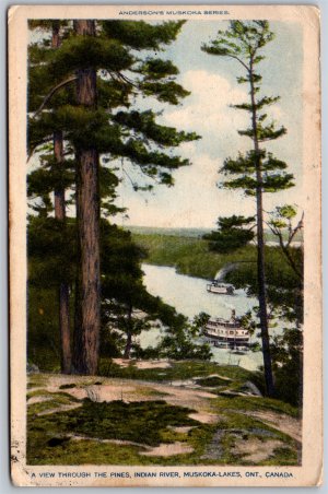 Postcard Muskoka ONT 1930 Pines Indian River Split Ring Port Sanfield Andersons