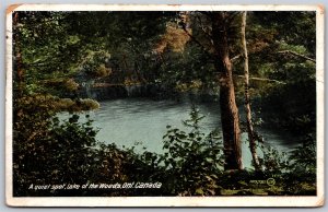 Postcard Lake of The Woods Ontario 1911 A Queit Spot Scenic View to Kitchawan NY