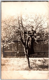 Postcard RPPC 1910s Photo of Pretty Lady Climbing Fruit? Tree