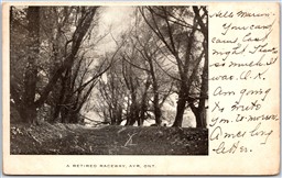 Postcard Ayr Ontario c1905 A Retired Raceway Waterloo Region