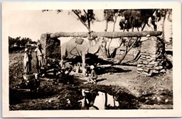 Postcard RPPC Cairo Egypt Sakeih Traditional Water Wheel Camel Child Bathing