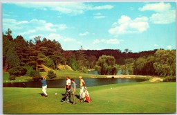 Postcard Georgetown Ontario c1960s North Halton Golf and Country Club Teeing Off