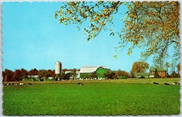 Postcard c1960s Greetings From Georgetown Ontario Scenic Farm View Cows