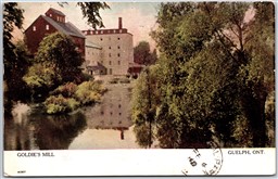 Postcard Guelph Ontario c1910 Goldie's Mill Wellington County by Warwick
