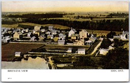 Postcard Erin Ontario c1907 Birds Eye View of Town Wellington County by Warwick
