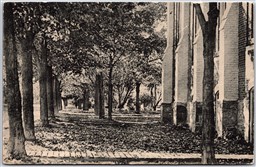 Postcard Orangeville Ontario c1914 Zina Street by R. O. Smith Dufferin County