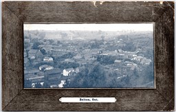 Postcard Bolton Ontario c1908 Birds Eye View Peel Region by Stedman Bros