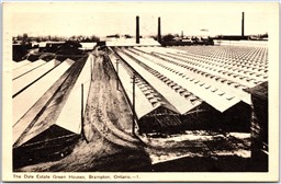 Postcard Brampton Ontario c1949 The Dale Estate Green Houses Peel Region by PECO