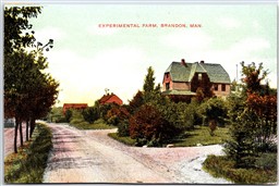 Postcard Brandon Manitoba c1910s Experimental Farm by Nerlich