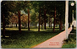 Postcard Brampton Ontario c1910s View of Park by Brampton Fair Peel Region