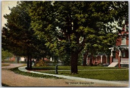 Postcard Brampton Ontario c1910s The Crescent Fire Hydrant Peel Region