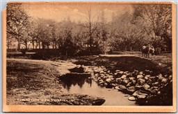 Poscard Brampton Ontario Picturesque View Peel Region by Heliotype *as is*