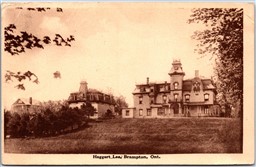 Postcard Brampton Ontario c1916 Haggert Lee Peel Region by ISC Picton