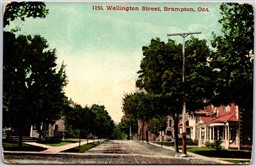 Postcard Brampton Ontario c1908 Wellington Street Peel County by Stedman Bros