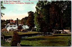 Postcard Brampton ONT View From Crescent Hill Showing Jennings Conservatories