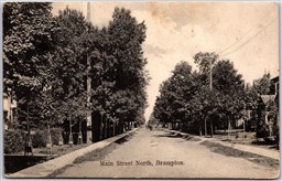 Poscard Brampton Ontario c1907 Main Street North Split Ring Cancel Bethany ONT