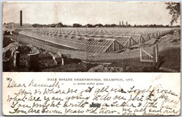Postcard Brampton Ontario c1903 Dale Estate Greenhouses Peel Region by Knowles