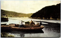 Postcard Placentia Gut Newfoundland 1910s Scenic View Boats Town