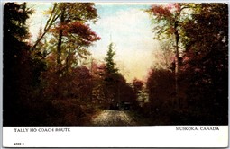 Postcard Muskoka Ontario c1910s Tally Ho Coach Route Scenic View by Warwick