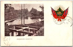 Postcard Georgetown Ontario c1906 Reservoir Patriotic Empire Upon Flag SPR