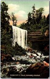 Postcard Dundas Ontario 1910s Webster's Falls Scenic View by Cloke & Son *as is*