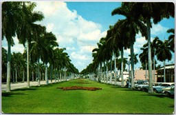 Postcard Palm Beach Florida c1960s Looking West Royal Poinciana Way Old Cars