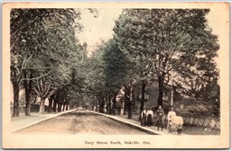 Postcard Oakville Ontario c1910s Navy Street North Halton Region by Heliotype