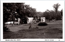 Postcard RPPC Bala Ontario Roselawn Lodge Muskoka District by Thatcher