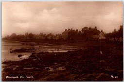 Postcard RPPC Blackrock Ireland Louth County Main Street Shore Shops