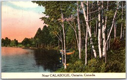 Postcard c1947 Calabogie Ontario Scenic View Birch Trees Renfrew County