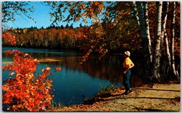 Postcard Campbellford Ontario Scenic View Indian Summer Northumberland County