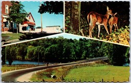 Postcard Lanark Ontario c1970s Multi Views Rideau Lakes District 5c to $1 Store