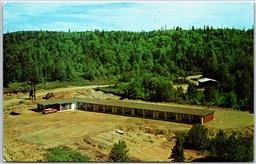 Postcard Marathon Ontario Pic Motel Hosts A. & M. Pasanen Thunder Bay District
