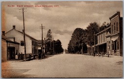 Postcard Shakespeare Ontario c1910s Main Street Perth County by Stedman Bros