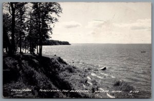 Postcard RPPC c1950s Leech Lake Walker MN Forest View of Leech Lake 