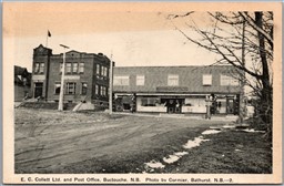 Postcard Buctouche New Brunswick E. C. Collett Ltd. and Post Office Kent County
