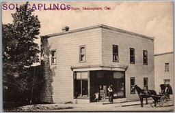 Postcard Shakespeare Ontario c1910s J. A. MacFarlane's Store Perth County