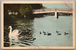 Postcard Kitchener Ontario c1940s Victoria Park Swans Bridge