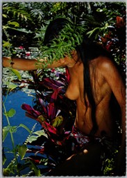Postcard Hawaii c1979 Lovely Island Maiden in Tropical Setting of Ti Plants