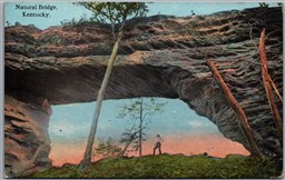 Postcard Slade Kentucky c1910s Natural Bridge State Resort Park Curt Teich