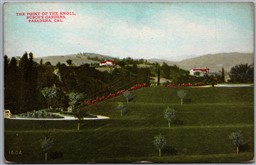 Postcard Pasadena California c1910s The Point of the Knoll Busch's Gardens