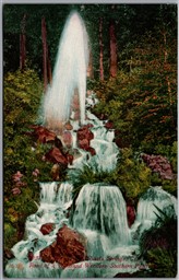 Postcard Shasta Springs California Scenic View Waterfall Edward H. Mitchell