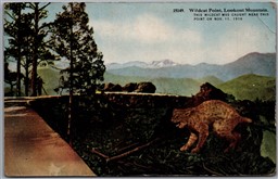 Postcard Evergreen Colorado c1910s Wildcat Point Lookout Mountain *as is*