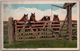 Postcard Kentucky Thoroughbreds "Who Said Supper?" Horses Ranch Scene by Knight