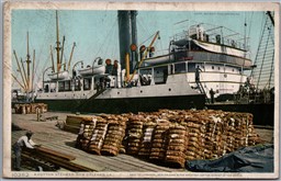 Postcard New Orleans Louisiana A Cotton Steamer Detroit Publishing