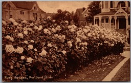 Postcard Portland Oregon Rose Hedges Residential Homes by PNC *as is*