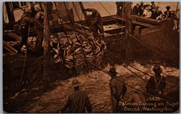 Postcard Puget Sound Washington 1910s Salmon Fishing by Edward H. Mitchell
