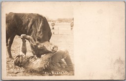 Postcard RPPC Los Angeles California The Rodeo Man with Steer Wrestling