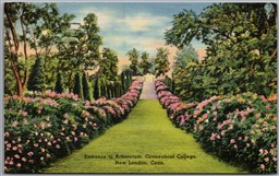 Postcard New London Connecticut c1951 College Entrance to Arboretum