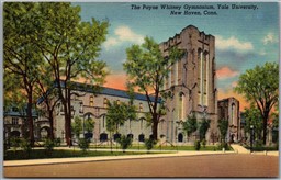 Postcard New Haven Connecticut The Payne Whitney Gymnasium Yale University
